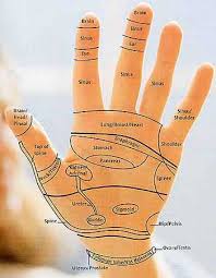 Reflexology Charts Hand Foot Ear Reflexology Chart Tips