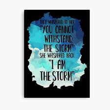 When i wrote those words, i wasn't referring to your peace or hunt's suffering. I Am The Storm Wall Art Redbubble