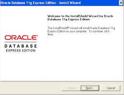 Every enterprise needs to securely maintain their data. How To Install Oracle Express Edition For Sql Practice Techgoeasy