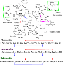 Image result for Plecanatide