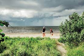 As one of the oldest preserves in manatee county, palmetto's emerson point preserve is filled with shaded boardwalks, hiking and biking paths and routes for kayaking and canoeing, but it also has. Hike Or Drive To Emerson Point Preserve A Native American Temple Mound Sarasota Magazine