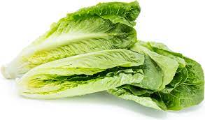Romaine Hearts Information And Facts