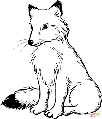 Realistic arctic fox coloring page. Foxes Coloring Pages Coloring Home
