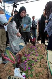 Dato' jalaluddin hassan (lahir 18 februari 1954) merupakan seorang pelakon lelaki malaysia. Tiada Lagi Tempat Saya Mengadu Jalaluddin Hassan Hiburan Mstar