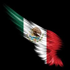 Check spelling or type a new query. Mexico Flag Iphone Wallpaper