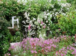 We did not find results for: Plants For A Traditional Cottage Garden