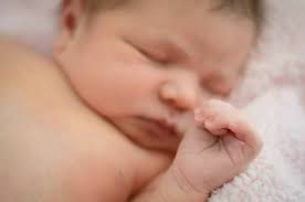 Ashley Nicole Photography