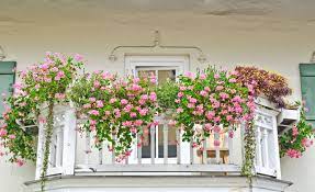 Window boxes and balcony pots. 37 Gorgeous Window Flower Boxes With Pictures