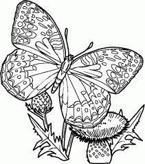 You might also be interested in coloring pages from spring, nature & seasons categories. April Coloring Pages To Print Coloring Home