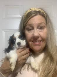 Just in time for Christmas, TriColor, AKC Cavalier girl. 9 weeks old. DM  for more info.