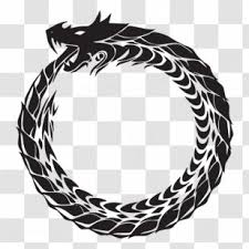 Check spelling or type a new query. Ouroboros Tattoo Png Images Transparent Ouroboros Tattoo Images