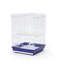 We did not find results for: Dayang Bird Cage 1902 Medium 40 X 40 X 59cm Sold By Box Of 6 Pcs Dimension 40 X 40 X 59cm
