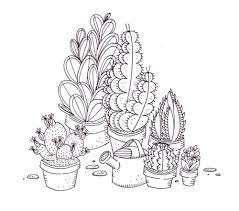 The cartoon cactus must be green while the pot is brown. Endless Feelings