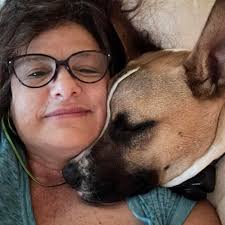 What does everybody do about ants getting into their hives?