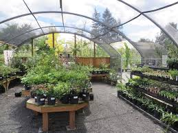 Best Vegetables To Plant In Your Spring Garden Portland Edible Gardens Raised Garden Beds Edible Landscaping And Vegetable Garden Help In Portland Or