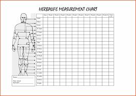 Body Measurement Chart Template Download Jasonkellyphoto Co