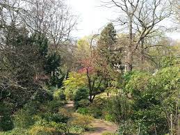 Groupon hat bestätigt, dass der kunde tatsächlich cafe botanischer garten besucht hat. Angelos Cafe Restaurant Botanischer Garten In Duisburg In Das Ortliche