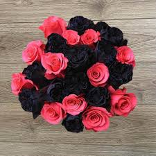 We did not find results for: Black And Pink Fresh Roses Bouquet Delivery Rosaholics