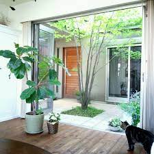 部屋全体 ヤマボウシ ねこ 猫部 猫 などのインテリア実例 2014 05 14 21 50 12 roomclip ルームクリップ インテリア 実例 ヤマボウシ アウトドアリビング