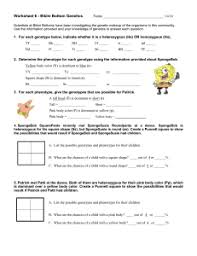 Complete the punnett square to show the s s s (a) if spongegerdy's father is a. Spongebob Genetics Homework