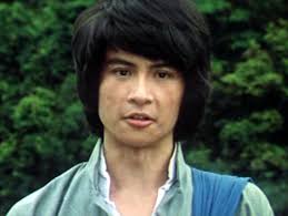 Shei gan re wo (1981)