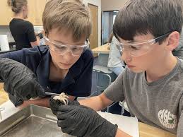 Myrtle Grove Christian...