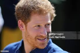 1,920 Oliver Prince Stock Photos, High-Res Pictures, and Images