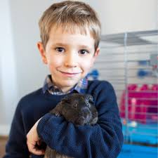 Our Lady of Lourdes School