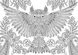 Free printable owl coloring pages for adults and teens. Owl Coloring Pages For Adults Free Detailed Owl Coloring Pages