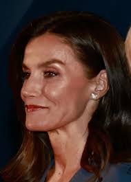 Queen Letizia brings back Bottega Veneta dress for Madrid Press Association  Awards