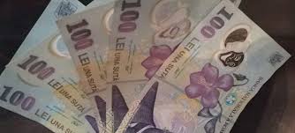 Stimulent Pentru Integrarea SocialÄƒ A Persoanelor Adulte Cu Handicap Din BucureÈ™ti Jurnal Social