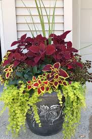 My Coleus Creation For This Summer Container Gardening Flowers Container Garden Design Container Flowers