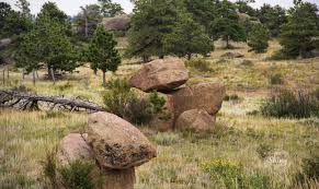 Use a soft material, like canvas strapping or tree staking straps, to attach the stakes. Pine Trees And Rocks Mixed Landscape Landscape Wyoming Photography Tree