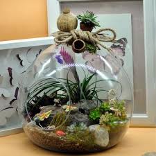 Yumurta Fanus Terrarium 2 Terrarium Yumurta