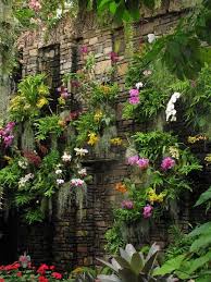 Orchids Backyard Garden Design Vertical Garden Orchids Garden