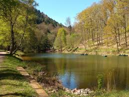 Finden sie das passende restaurant, eine urige weinstube, eine straußwirtschaft für den kleinen hunger oder eine wanderhütte. Edenkoben Ausflugstipp Hilschweiher Mit Wasserfall Ladt Ein Zum Entspannen Region