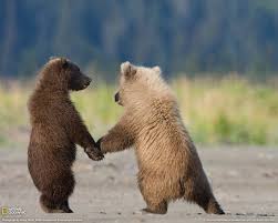 The Best National Geographic Photos Of All Time Topgaleries Cute Animals Cute Baby Animals Animals Wild