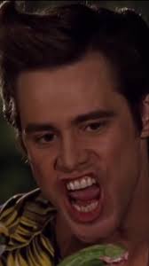 Ace Ventura Ask You A Question