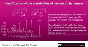 名站推薦 tips：2021年6月8日 更新失效連結 total 13 ». Identification Of The Metabolites Of Ivermectin In Humans Pharmacology Research Perspectives X Mol