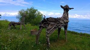 Visite Des Jardins De L Eau Du Pre Curieux Evian En 2020 Evian Les Bains Entree Du Jardin Jardins