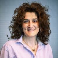 1500+ “Sabanovic” profiler