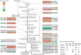 Video cara kira cr : High Throughput Insertional Mutagenesis Reveals Novel Targets For Enhancing Lipid Accumulation In Nannochloropsis Oceanica Sciencedirect