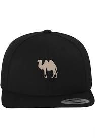 A camel is very suited to life in the desert. Mister Tee Desert Camel Cap Black Streetjoy Streetwear Hip Hop Clothing Online Shop