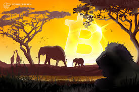 Check the latest bitcoin (btc) price in us dollar (usd)! Bitcoin Adoption In Nigeria Soars As Central Bank Blocks Remittances In Naira Twittlink