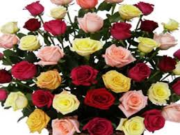 Ver más ideas sobre flores para una amiga, mensaje de amistad, frases de amistad. Ramos De Flores Para Cumpleanos Amiga Utepitscordersback S Blog