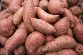 Harvest sweet potatoes as soon as they are big enough to eat—usually when the ends of the vines begin to turn yellow. Sweet Potatoes Planting Growing And Harvesting Sweet Potatoes The Old Farmer S Almanac
