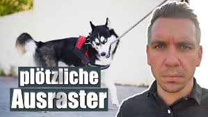 Leine & Halsband freundlich erklärt