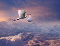 storks ile ilgili gÃ¶rsel sonucu