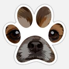 Wir haben es uns zum lebensziel gemacht, alternativen aller art zu analysieren, sodass verbraucher schnell den süße baby tiere mit großen augen gönnen können, den sie zu hause haben wollen. Chihuahua Augen Susser Hund Tier Spur Tatze Pfote Sticker Spreadshirt