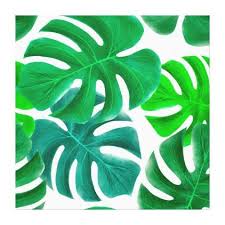 Tropical Leaves Canvas Print Zazzle Com In 2020 Tropical Leaves Tropical Leaves Pattern Leaves